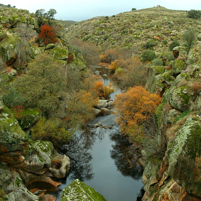 Paisaje natural y biodiversidad cerca del apartamento rural en Bohonal de Ibor